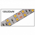 Светодиодные ленты 5050 120 led 24V ICLED